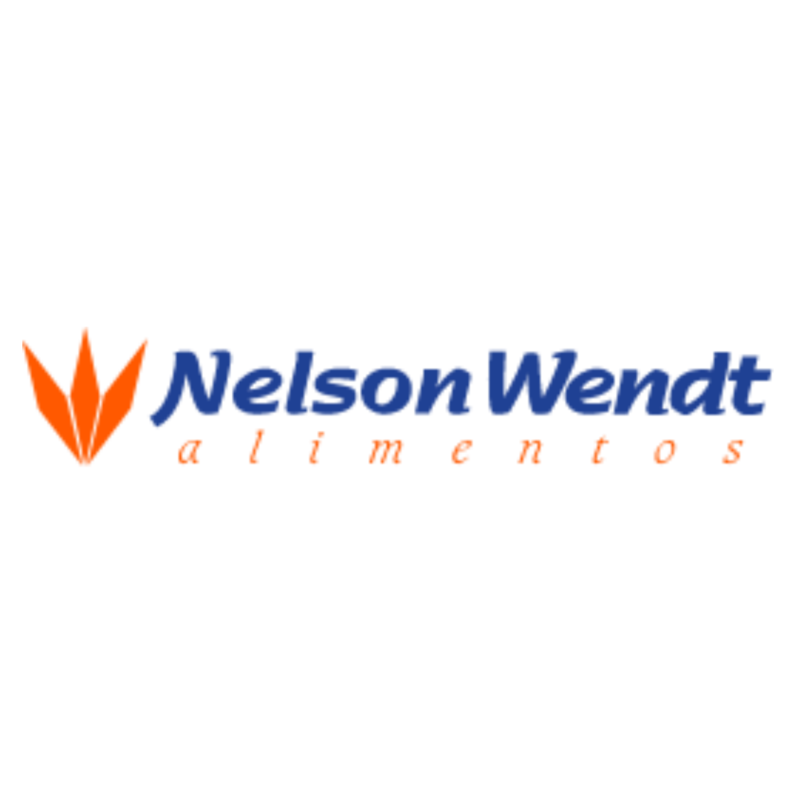 Nelson Wendt Alimentos